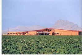 The pitched red roof of the Salt River Pima-Maricopa Indian Community Early Childhood Educational Center in Scottsdale, Ariz., designed by DLR Group, represents Red Mountain. It is just one building element used to highlight the culture of the Pima-Maricopa people.