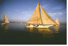 Chesapeake Bay Skipjack Fleet, Maryland. Photo © David W. Harp.