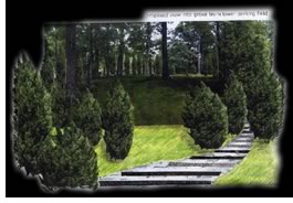 The design by Katherine A. Towson and Roger Charles Sherry features a path to the site planted with native trees and paved intermittently with stones. Image courtesy Katherine A. Towson and Roger Sherry.