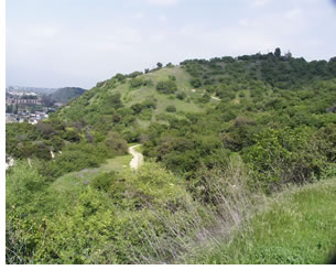 The park’s landscape plan includes restoration of native plant species. The city of Los Angeles is just out of view on the skyline.