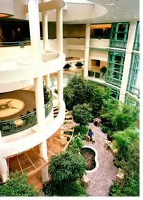 Bronson Methodist Hospital’s Garden Atrium serves as a focus for healing and serenity. Photo © Larry Wolf. 