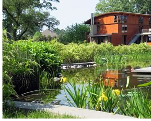 Tidewater Residence, by Nelson Byrd Woltz Landscape Architects, incorporates a freshwater pond, seen here from the southwest, that includes iris, horsetail, summersweet, water lilies, and inkberry. (Photo © Nelson Byrd, Woltz Landscape Architects.)