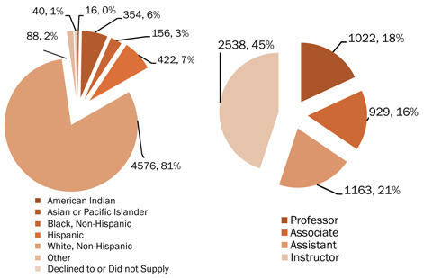 Ethnicity breakdown for faculty at NAAB-accredited programs.