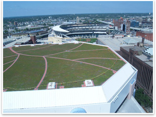 The green roof will handle almost one inch of rainfall without runoff, capturing an estimated 1 million gallons of storm water normally draining into the Mississippi River per year. The stand-alone, low-weight roof maximizes the amount of green. Photo courtesy of Leo A Daly, Kestrel Design Group, and Inspec, Inc.