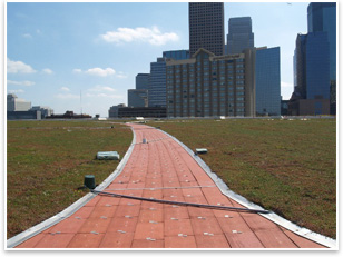 The green roof incorporates a paver assembly. Photo courtesy of Leo A Daly, Kestrel Design Group, and Inspec, Inc.