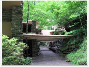The understated entrance to Fallingwater, behind the tree on the left. Photo by Dr. Sook Kim, courtesy of the Western Pennsylvania Conservancy.